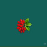 WBN Berberine view 6