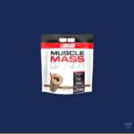 Dr. Morepen Mass Gainer view 1